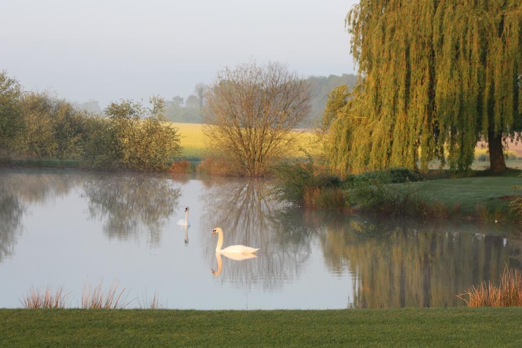 Domaine De La Guignardiere Viévy-le-Rayé Buitenkant foto